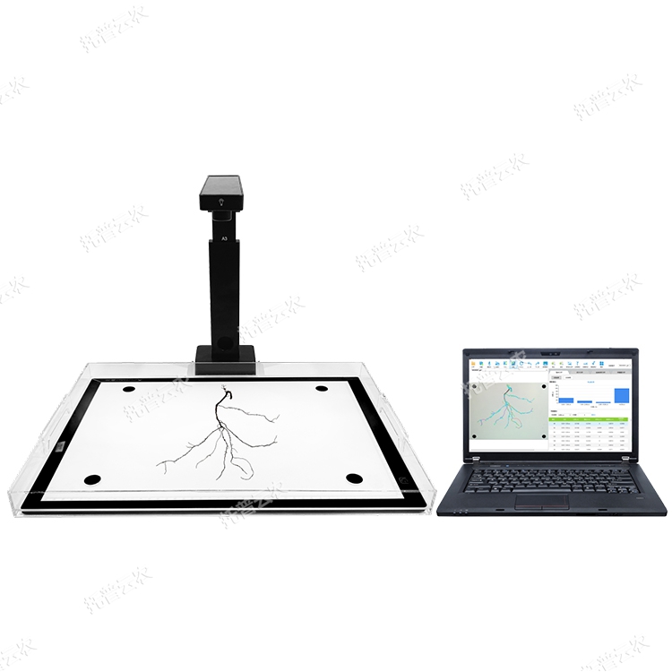 植物根系分析系統作用及功能詳解